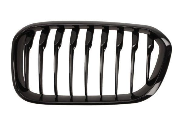 Bmw Radiateurgrille