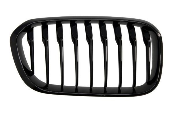 Bmw Radiateurgrille