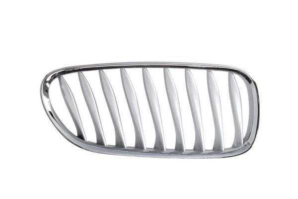 Bmw Radiateurgrille