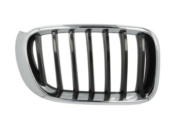 Bmw Radiateurgrille