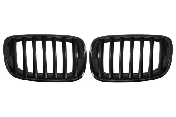 Bmw Radiateurgrille
