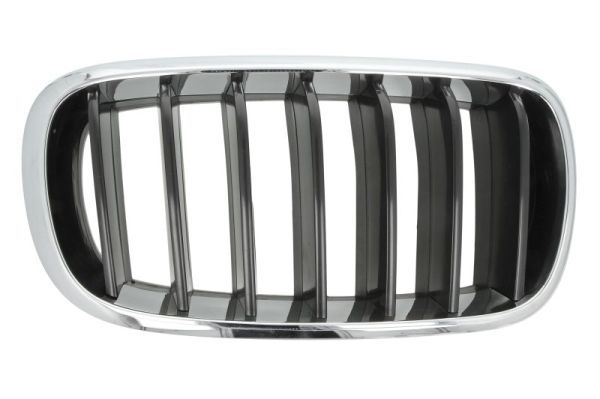 Bmw Radiateurgrille