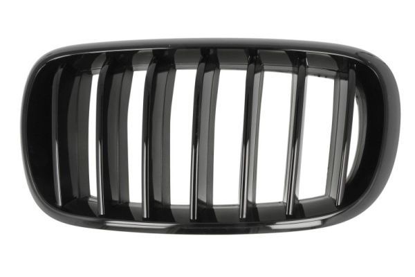 Bmw Radiateurgrille
