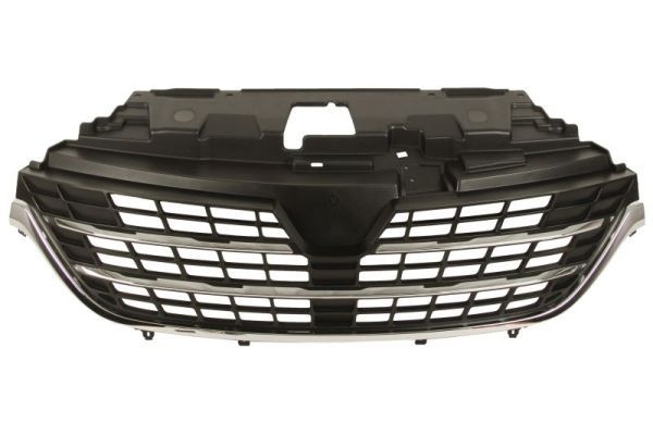 Renault Radiateurgrille