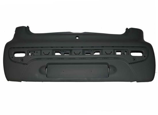 Citroen Bumper