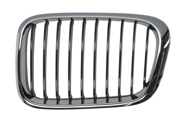 Bmw Radiateurgrille