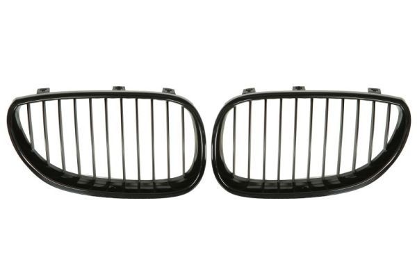 Bmw Radiateurgrille