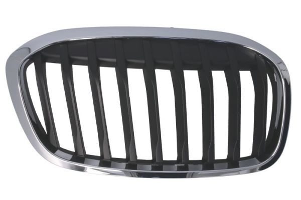Bmw Radiateurgrille