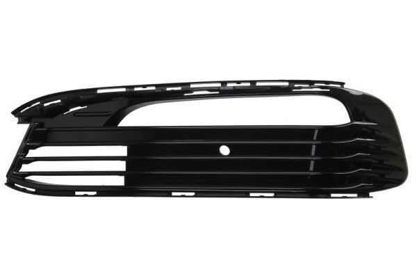 Bmw Ventilatiegrille, bumper