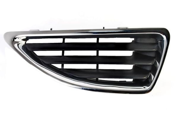 Renault Radiateurgrille