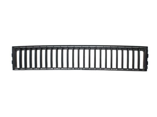 Skoda Ventilatiegrille, bumper