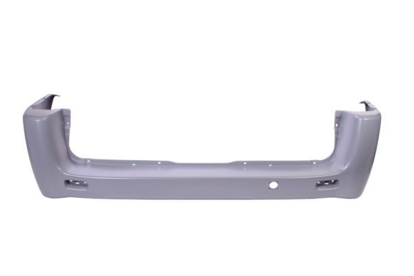 Citroen Bumper