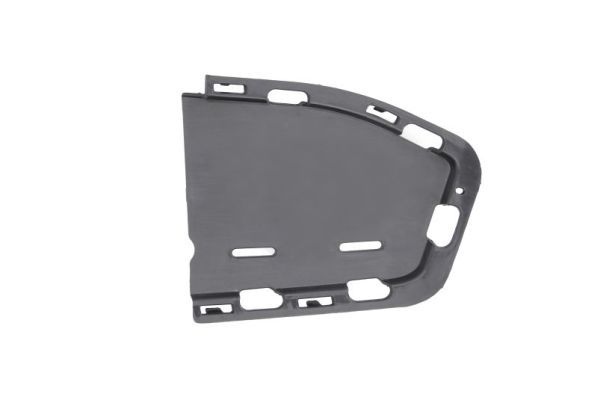 Bmw Ventilatiegrille, bumper