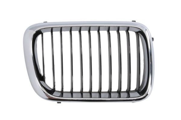 Bmw Radiateurgrille