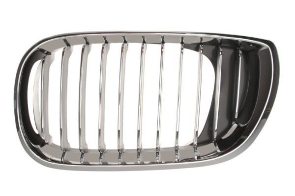 Bmw Radiateurgrille