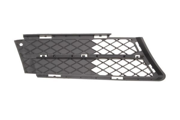 Bmw Ventilatiegrille, bumper