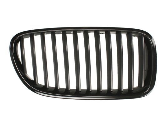 Bmw Radiateurgrille