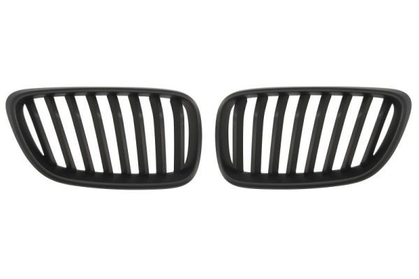 Bmw Radiateurgrille