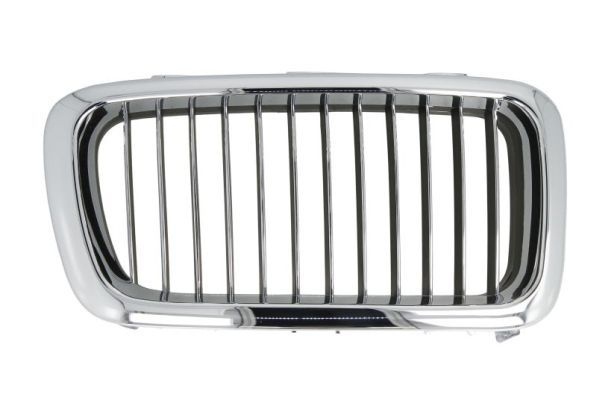 Bmw Radiateurgrille