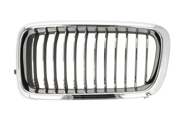 Bmw Radiateurgrille