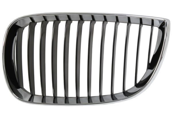 Bmw Radiateurgrille