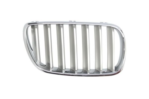 Bmw Radiateurgrille