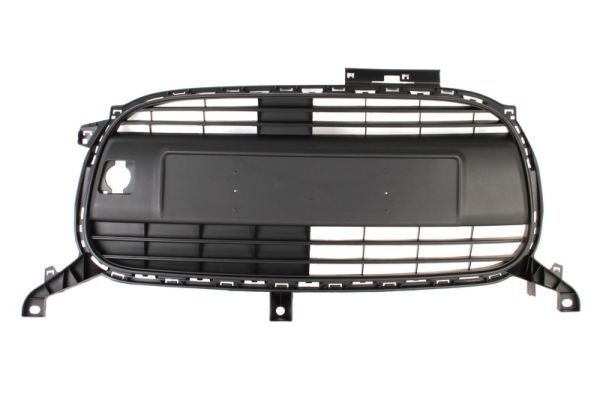 Citroen Radiateurgrille