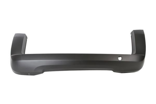 Citroen Bumper