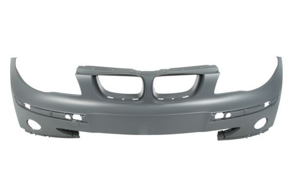 Bmw Bumper