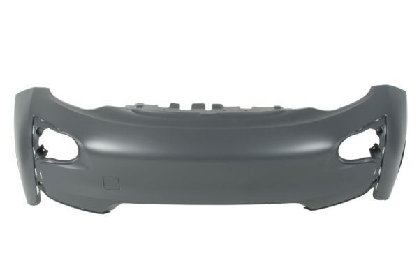 Bmw Bumper