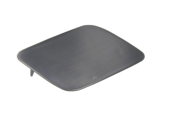 Audi Plaat, bumper