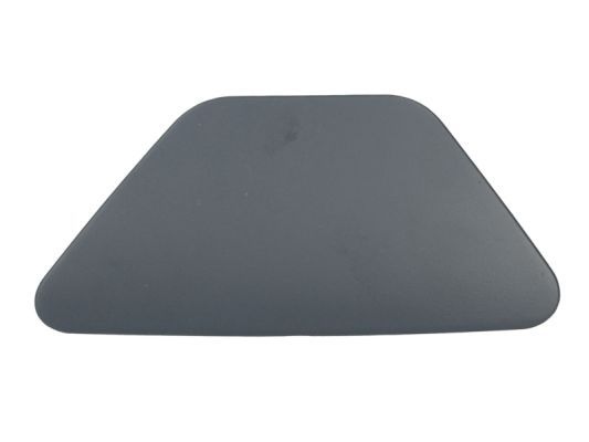 Bmw Plaat, bumper