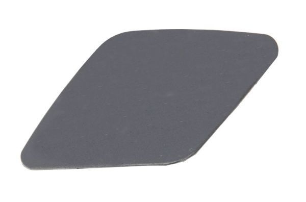 Bmw Plaat, bumper