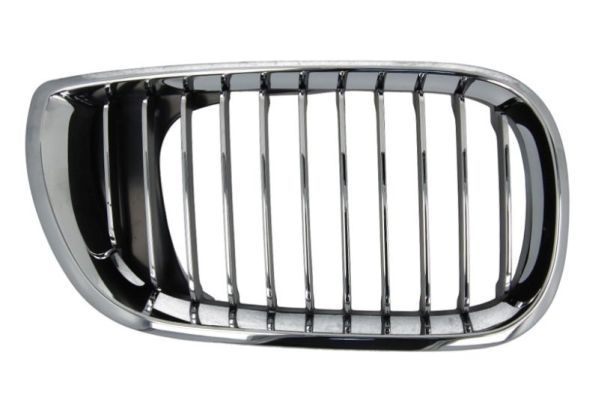 Bmw Radiateurgrille