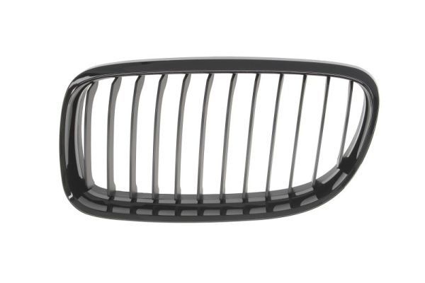 Bmw Radiateurgrille