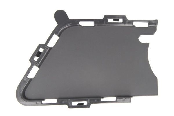 Bmw Ventilatiegrille, bumper