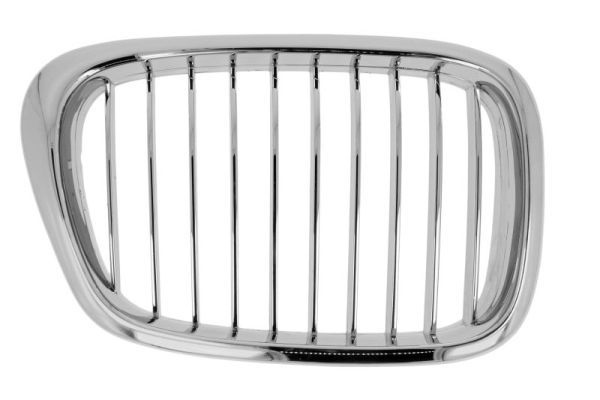 Bmw Radiateurgrille