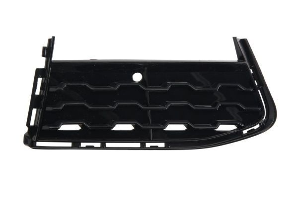 Bmw Ventilatiegrille, bumper