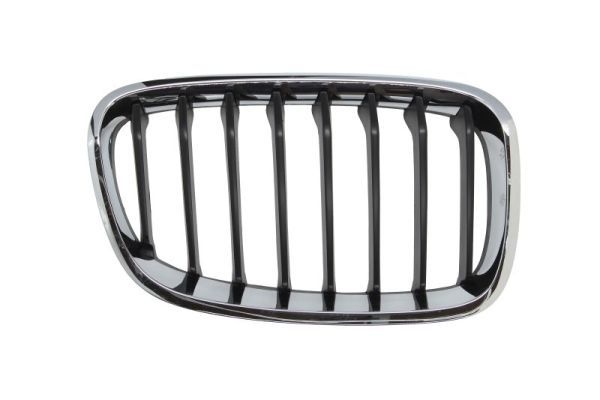 Bmw Radiateurgrille