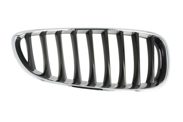 Bmw Radiateurgrille