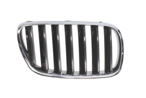 Bmw Radiateurgrille