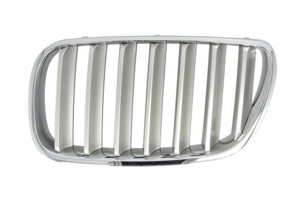 Bmw Radiateurgrille