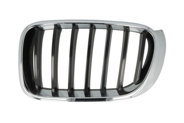Bmw Radiateurgrille