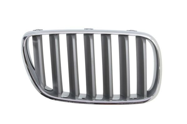 Bmw Radiateurgrille