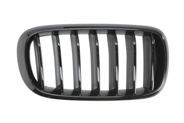 Bmw Radiateurgrille