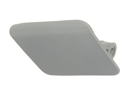 Bmw Plaat, bumper