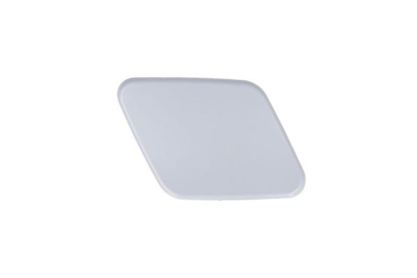 Bmw Plaat, bumper