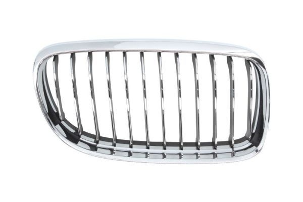 Bmw Radiateurgrille