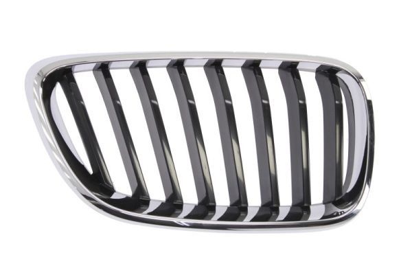 Bmw Radiateurgrille