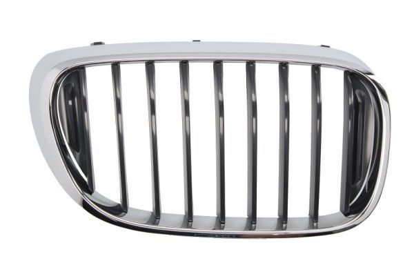 Bmw Radiateurgrille
